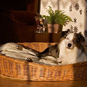 Hundekorb kaufen Platz 1