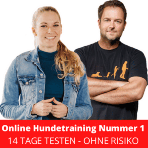 Online-Hundetraining-Nummer-1