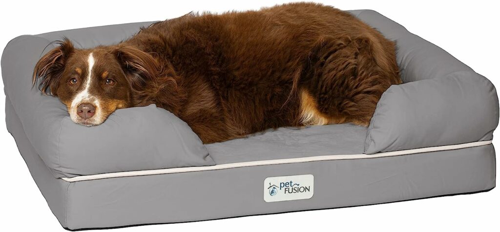 PetFusion Large Hunde